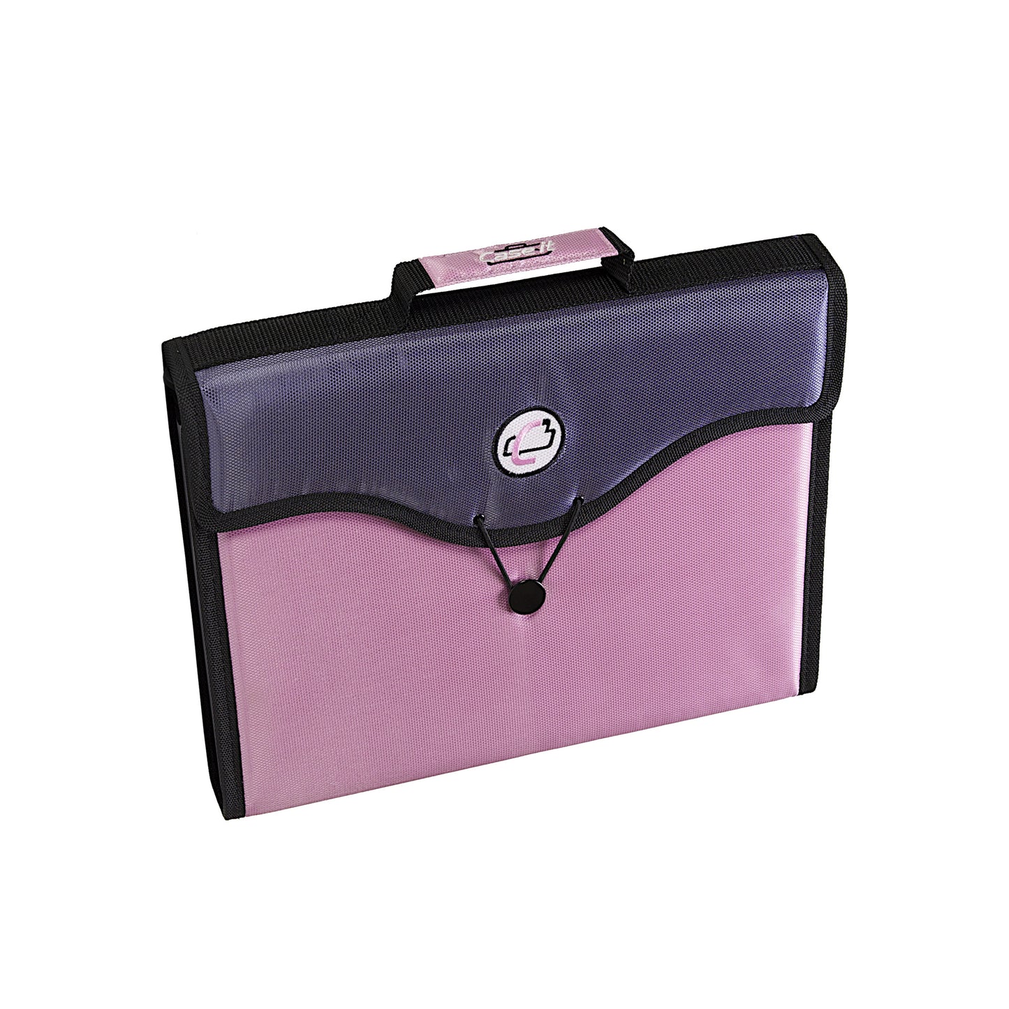 The File Pro image 0